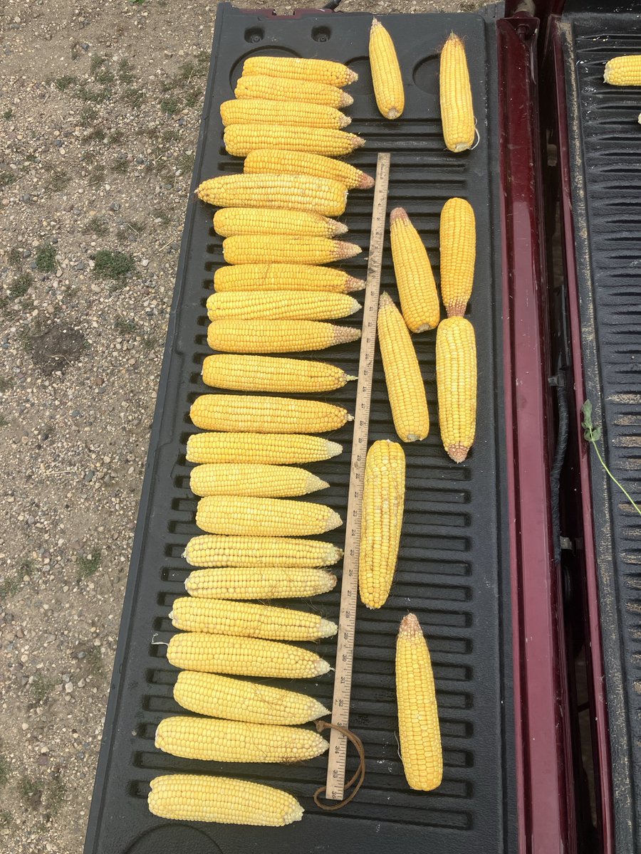 Woodbury, Plymouth, Sioux, Lyon,Osceola, Dickinson counties 15 stops 183 avg yield  961 pod count. Lots of variability across the region