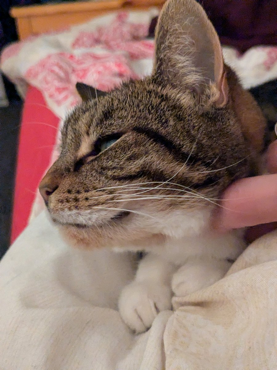 My sweet stroppy princess ❤️