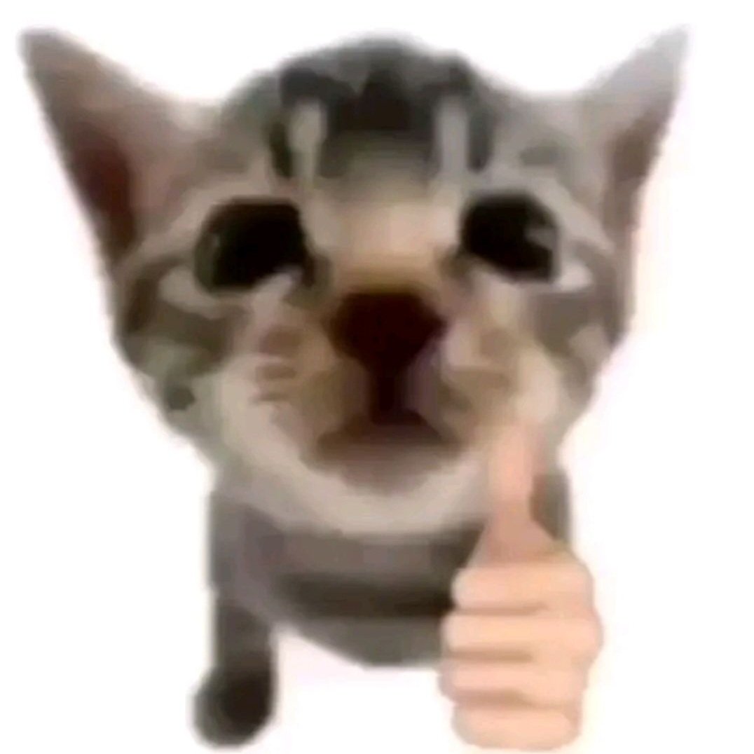 Gatoma121's tweet image. 🎮 ¡Hoy en el stream se viene algo épico! Nos sumergimos en el caos de **League of Legends** y luego relajamos construyendo en **Minecraft** 🏰🔥. ¡No te lo pierdas!
twitch.tv/gatoma1 🚀 #StreamTime #LeagueOfLegends #Minecraft #GamingCommunity #EnVivo