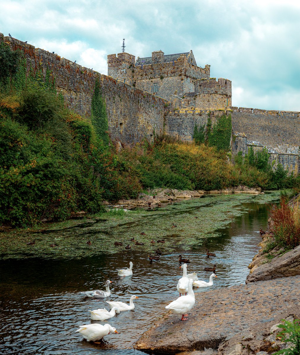 We Love Ireland tweet media