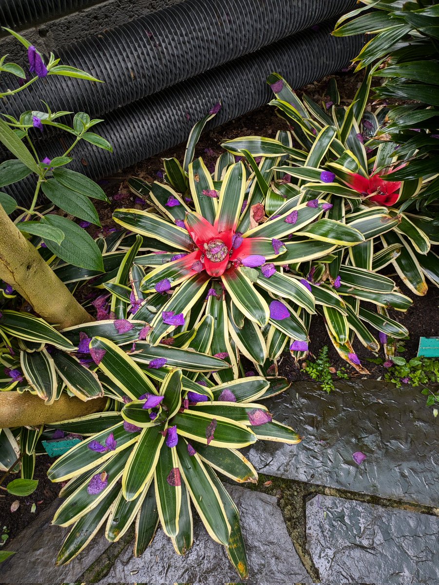 Graham Brown tweet media