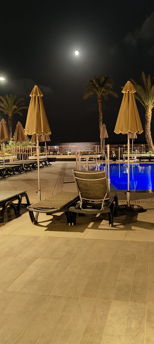 @ipedruzo tweet media