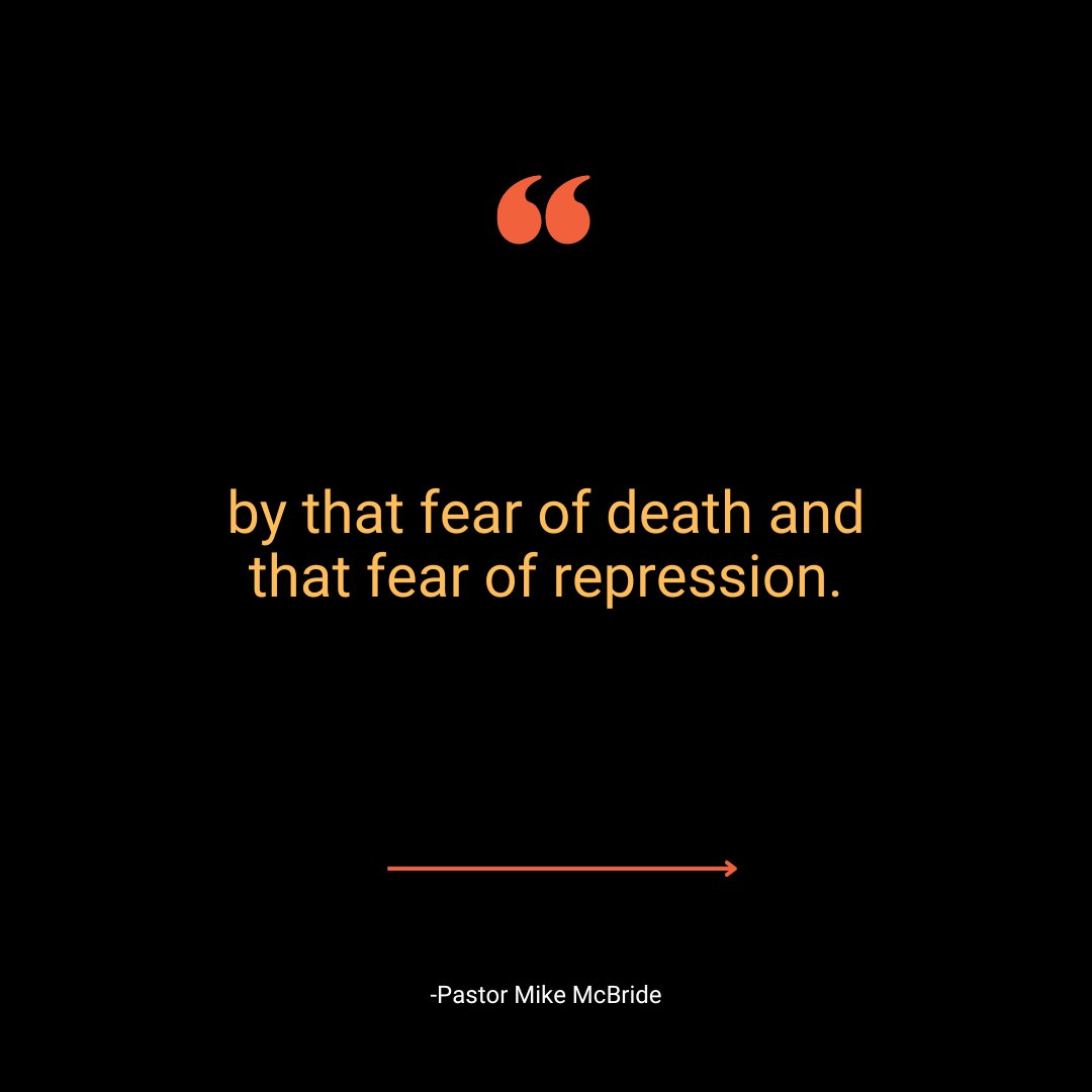 UNDIVIDED tweet media