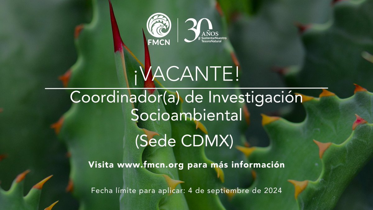 🌿 Únete al equipo de FMCN

Estamos en busca de una persona que ocupe el puesto de Coordinador(a) de Investigación Socioambiental. 
🗓️ Aplica antes del 4 de septiembre, 2024.

Más info: fmcn.org/es/quienes-som…

#BolsaDeTrabajo #OportunidadLaboral #Vacante