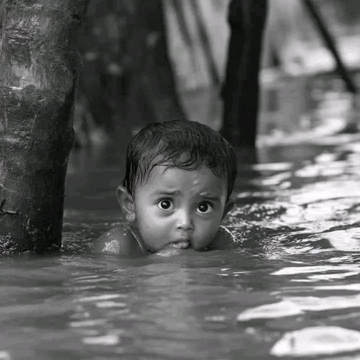 Abella430645's tweet photo. My country is flooded because of Indian aggression 

#FloodInBDForIndia https://t.co/IbyevZ4n7Z