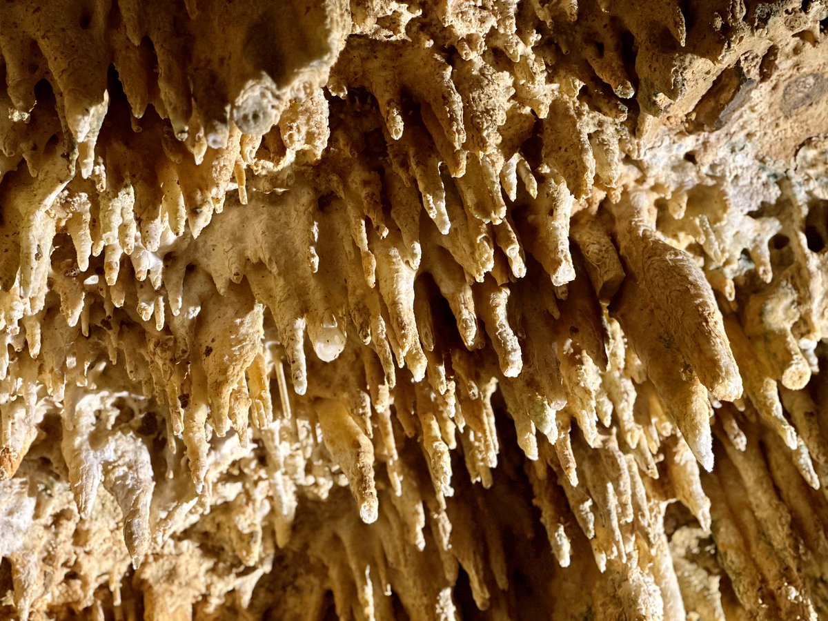 christopher mitchell tweet media