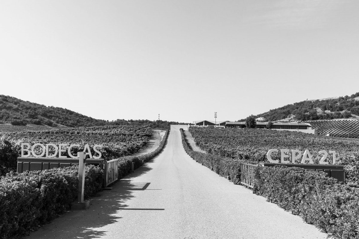 .EL CAMINO.