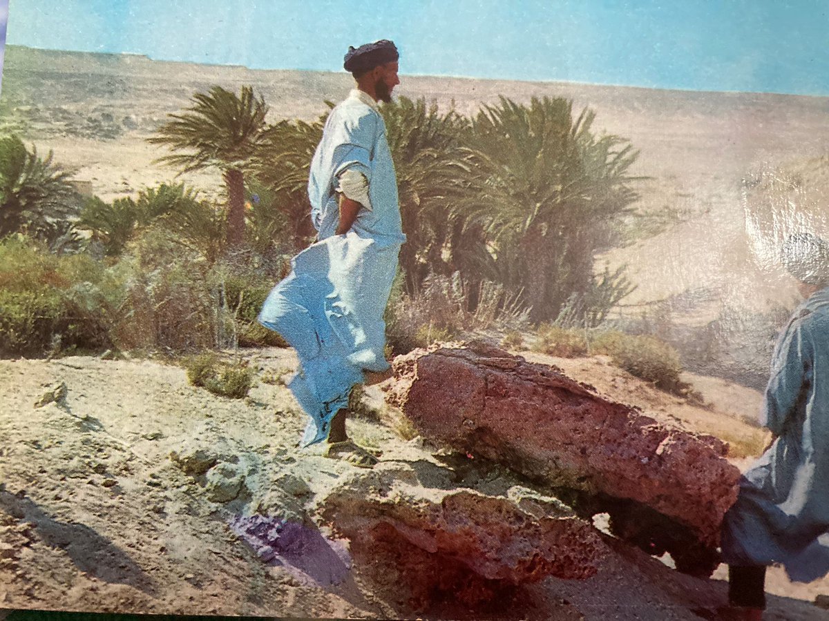 PuntaLeyend's tweet photo. Hablando de moros, mirad qué puta maravilla de un tío mío que hizo la mili en el Sahara 🥲❤️ https://t.co/DuAIMUYVUW