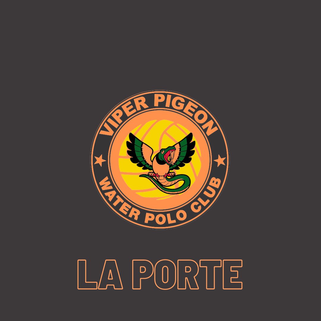 Carys Markiewicz tweet media