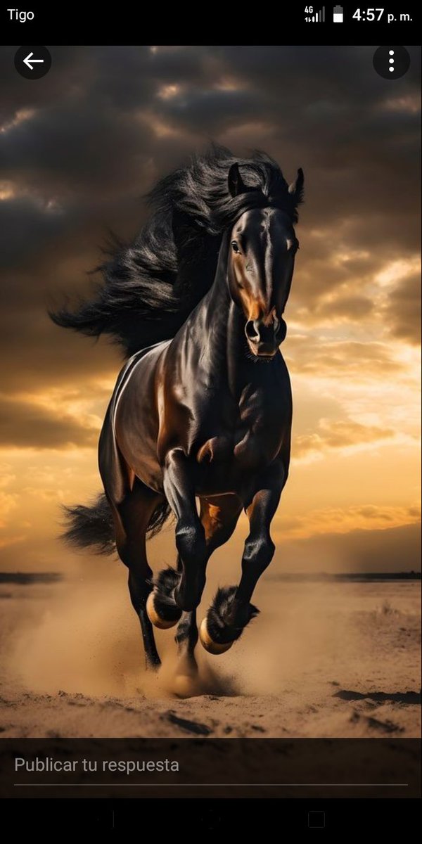 𝐉𝐂-𝐑 ☪︎ tweet media