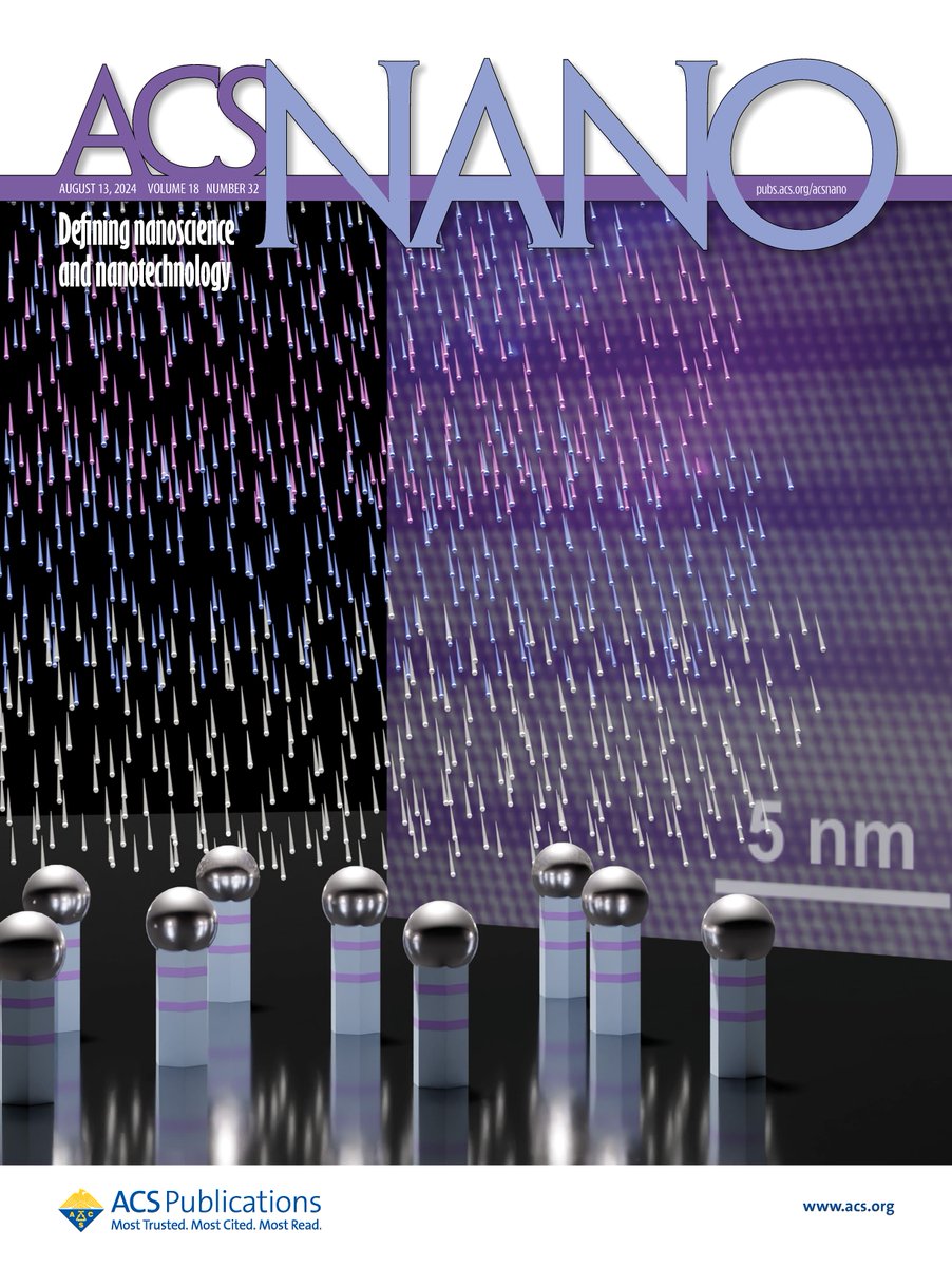 ACS Nano (@acsnano) on Twitter photo From the cover of ACS Nano: Investigating the limits of interfacial sharpness in thin GaAs/AlxGa1–xAs/GaAs double axial #heterostructures in self-catalyzed GaAs #nanowires grown using the DCAPE method. <a href="/HZDR_Dresden/">HZDR @HZDR@helmholtz.social</a> <a href="/tudresden_de/">TU Dresden</a>
#OpenAccess: go.acs.org/axW From the cover of ACS Nano: Investigating the limits of interfacial sharpness in thin GaAs/AlxGa1–xAs/GaAs double axial #heterostructures in self-catalyzed GaAs #nanowires grown using the DCAPE method. <a href="/HZDR_Dresden/">HZDR @HZDR@helmholtz.social</a> <a href="/tudresden_de/">TU Dresden</a>
#OpenAccess: go.acs.org/axW
