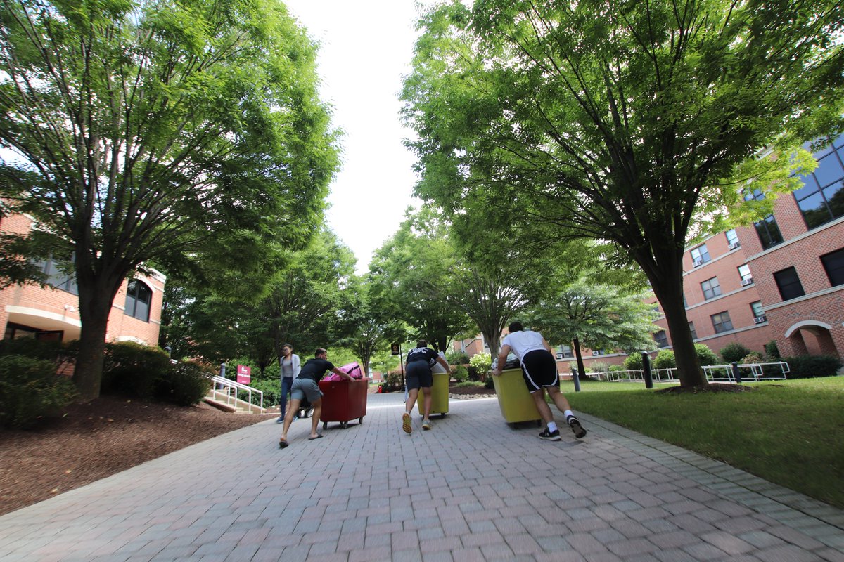 BloomsburgU's tweet image. All settled in! Let #HuskyLife begin ... 🚘📦🧳🎒🐾 #HuskyUnleashed #MoveIn #BloomUpward #college #dorm #roommates 📸➡️ flic.kr/s/aHBqjBEdCT