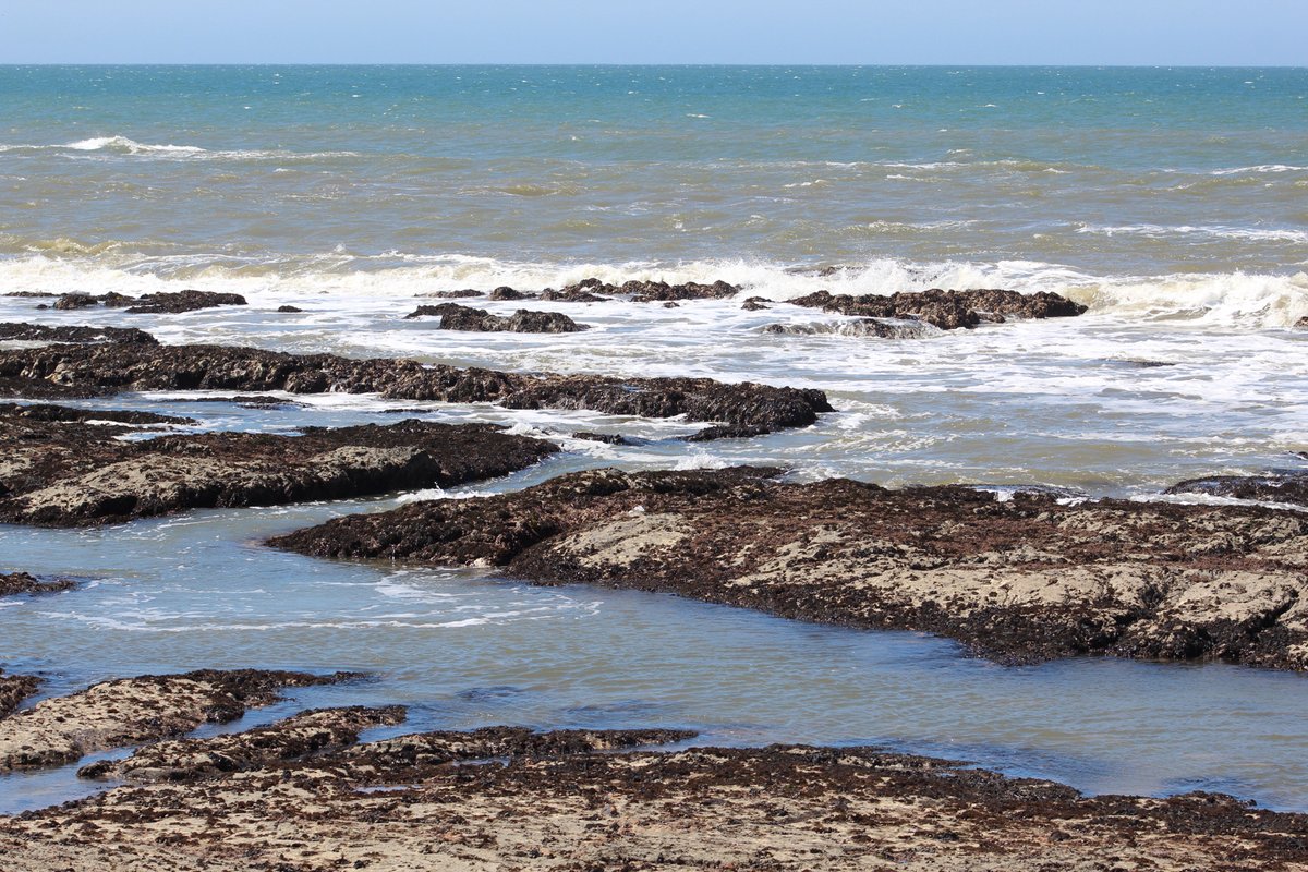 📣 MPA Collaborative Network (CN) Climate Reports are live! 

Visit the MPA CN website to read your region’s report and the statewide report on climate change, the coast, and California’s MPAs: mpacollaborative.org/our-initiative…