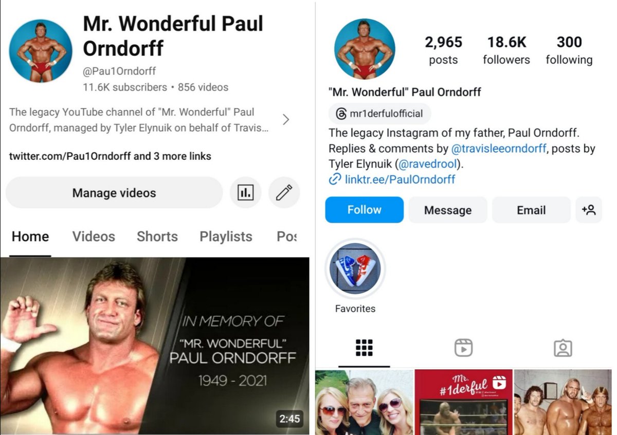 PaulOrndorffWWE's tweet photo. Hey friends, we're going to follow every Paul Orndorff fan who is #1derful enough to share this &amp; follow his legacy account!

YouTube, Dailymotion, IG, Merch:

https://t.co/e9BSh6nPaL

Thanks for the inspiration @realLeilaniKai!

#Follow4Follow
#FridayFollow https://t.co/0MCGnQN0yW