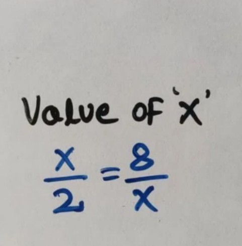 Brain IQ Test tweet media