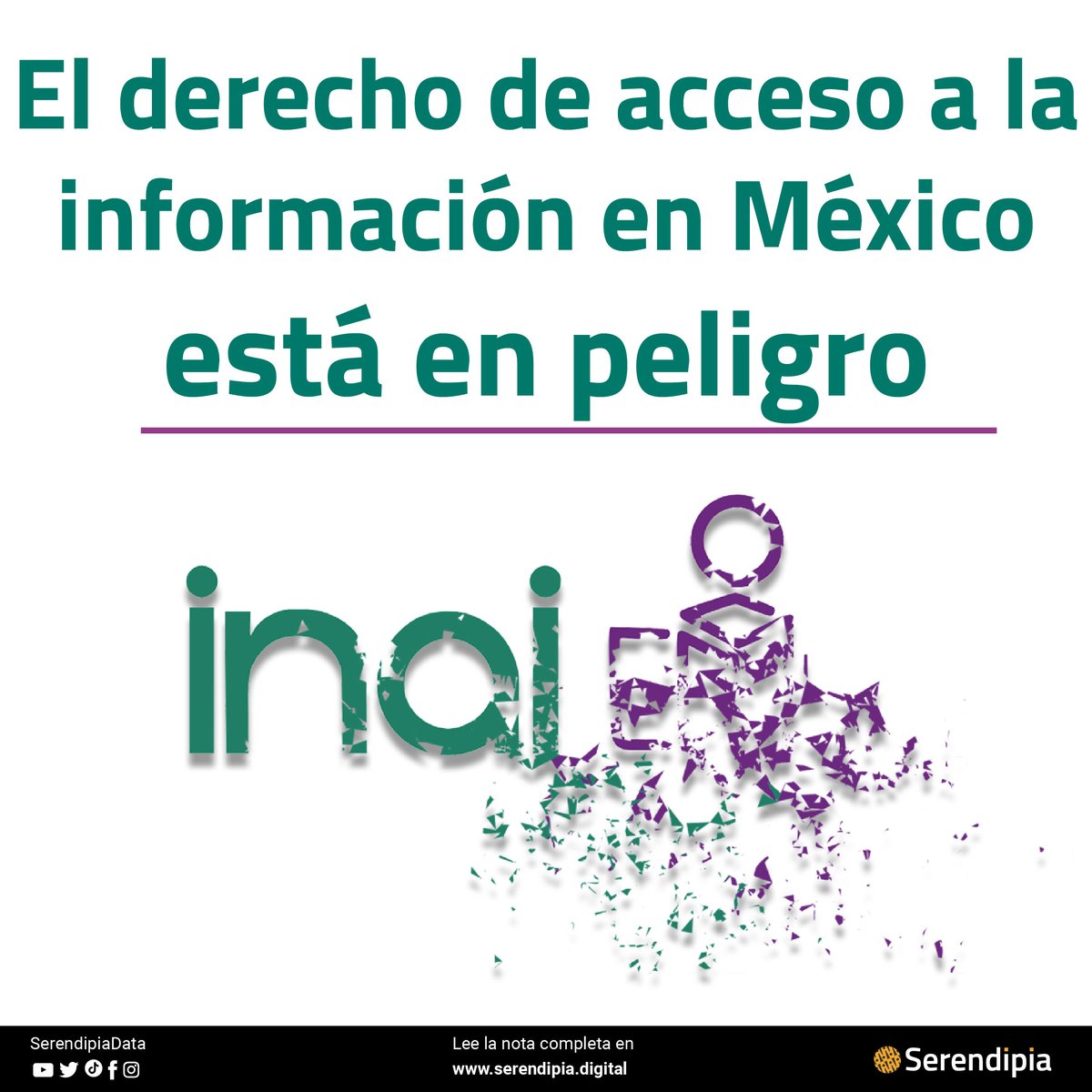 SerendipiaData's tweet photo. El @INAImexico es el órgano autónomo que se encarga de garantizar el derecho al acceso a la información y la protección de datos personales de la ciudadanía mexicana

¿Por qué son importantes estos derechos? Aquí te decimos ⬇️

https://t.co/9Cieu6c3uJ https://t.co/4bSgVEGhPY