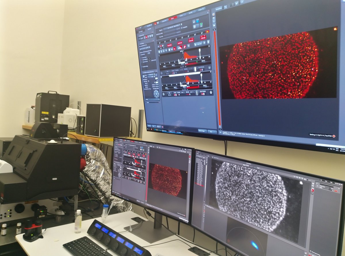 Viantha Naidoo tweet media