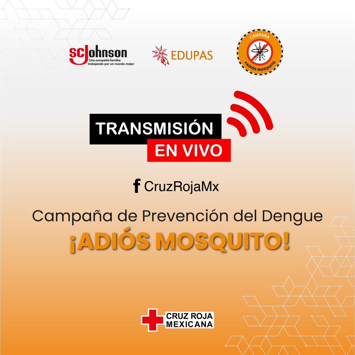 CruzRoja_MX's tweet photo. #ENVIVO🔴 Para contribuir a la protección de la picadura de los mosquitos que transmiten el #dengue, hemos lanzado la campaña  "Adiós Mosquito" con #SCJohnson.🦟.

Te invitamos a ser parte de esta anunciación y conocer de que se trata ➡️ https://t.co/bEJDE0W9Y3 https://t.co/lVCzs176Bz