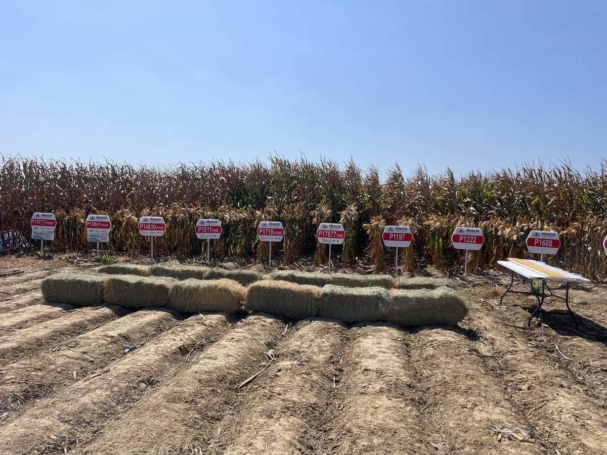 Jason Rudick tweet media