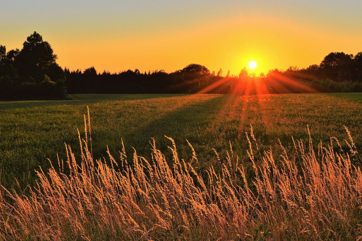 Have a beautiful day out there in outer space people. Journeying alongside poets over the years. I hope you are having time to rest. Enjoy a sunset or sunrise. 

#lovewriting #poems #sunrise
