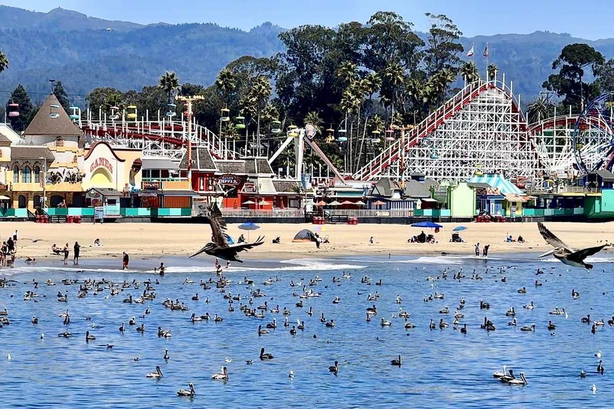 Native Santa Cruz tweet media