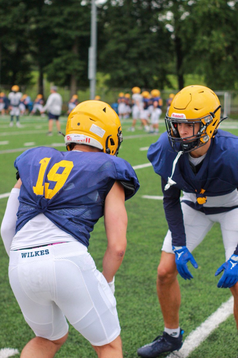 Wilkes Football tweet media