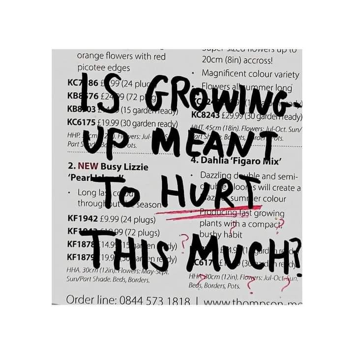 🍂 (@lovandfear) on Twitter photo 