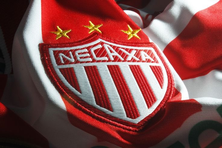 renacova tweet media