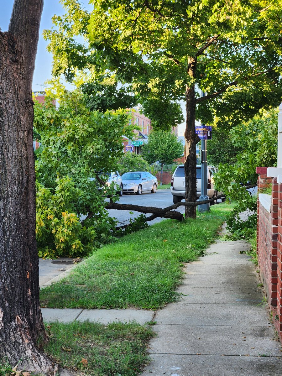 miele1066's tweet photo. @311DCgov @DDOTDC  The limb of a tree split at 215 33rd Street NE https://t.co/R8t7qcDxpU