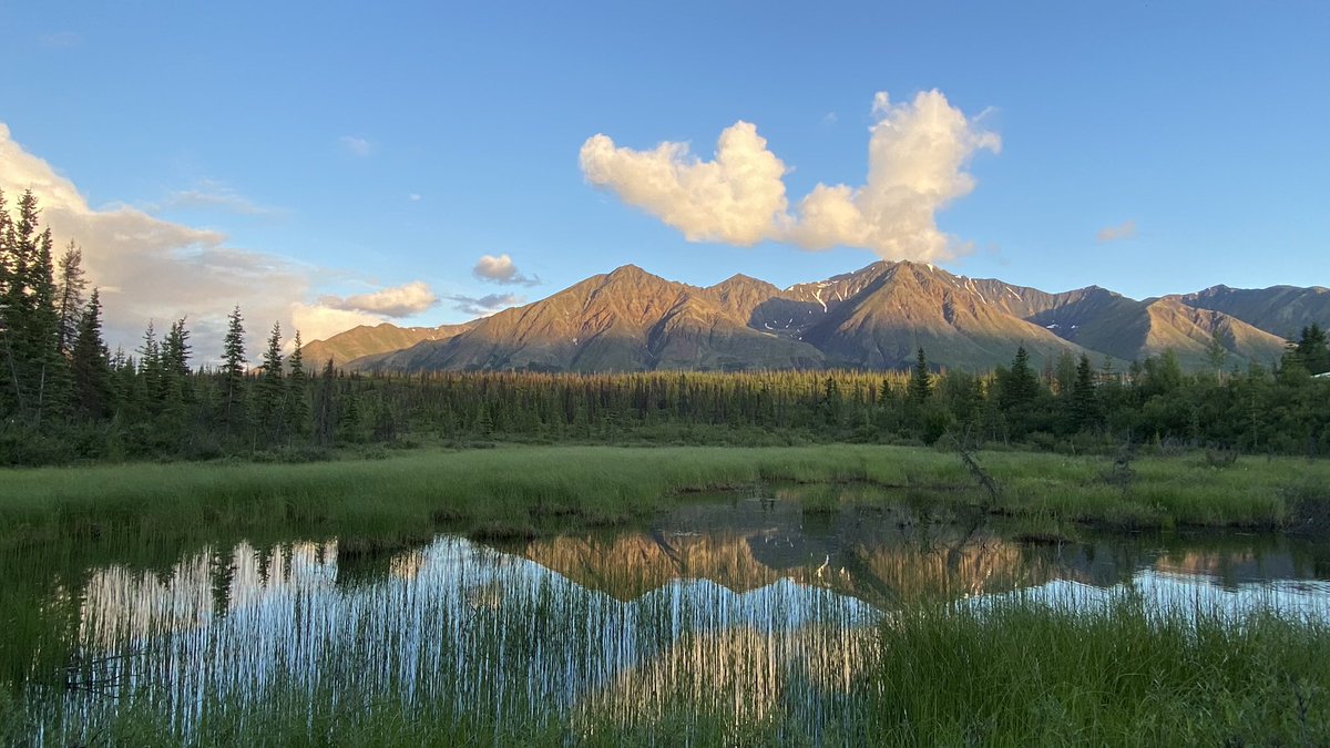 Sunset time recently on the Denali Highway 

#Alaska