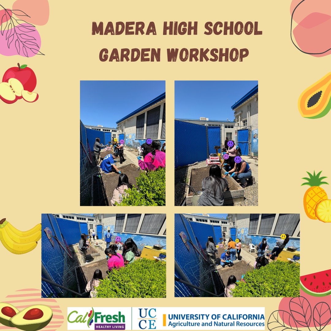 Madera High School teen parent club &amp; teen parent students attended a garden workshop CFHL, UCCE hosted &amp; were able to plant black corn, squash &amp;  kale. Students were given a garden planting guide &amp; seeds to start growing their own vegetables. #healthymaderacounty #maderaunified