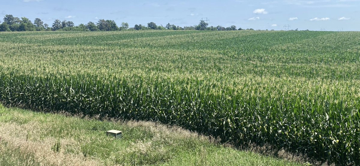 Ryan Van Roekel tweet media