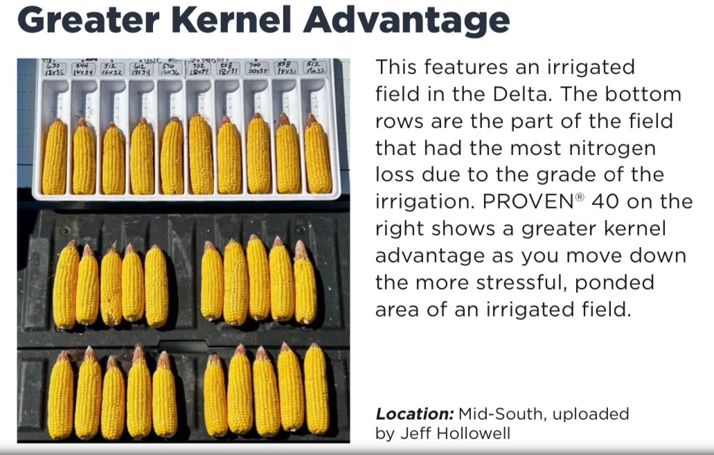 Ryan Van Roekel tweet media