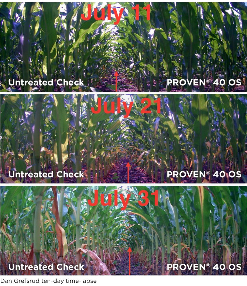 Ryan Van Roekel tweet media