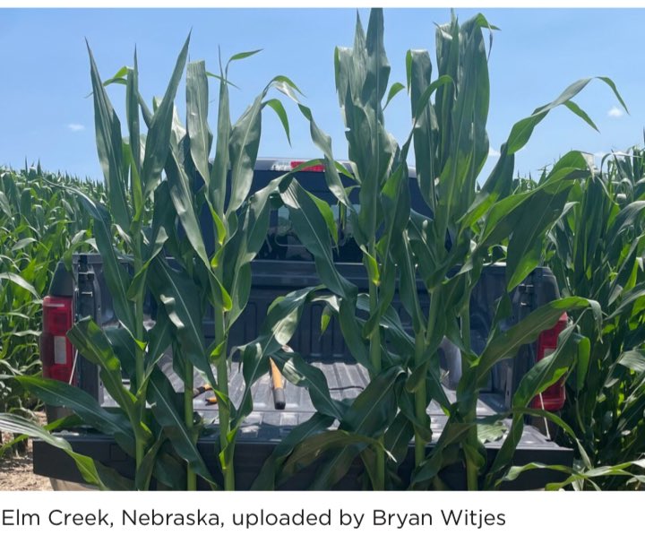 Ryan Van Roekel tweet media