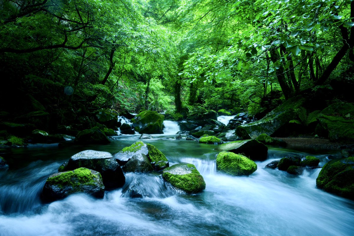 Kaz_Psychedelic's tweet photo. Summer River 😊✨
#Japan #river #naturelovers #nikon_z #nikoncreators https://t.co/5heYdAqp6c