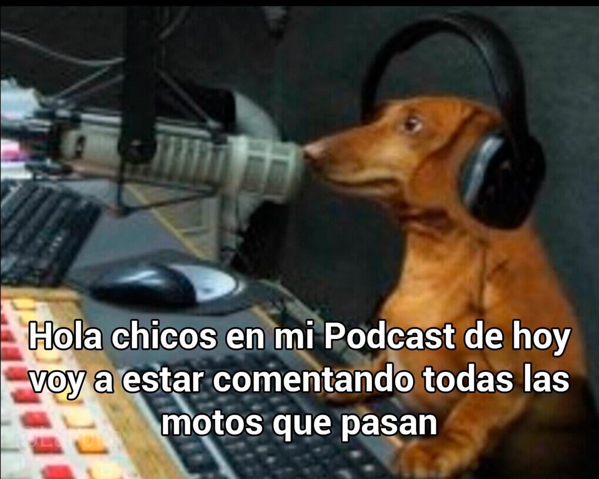 Dilo con perritos tweet media