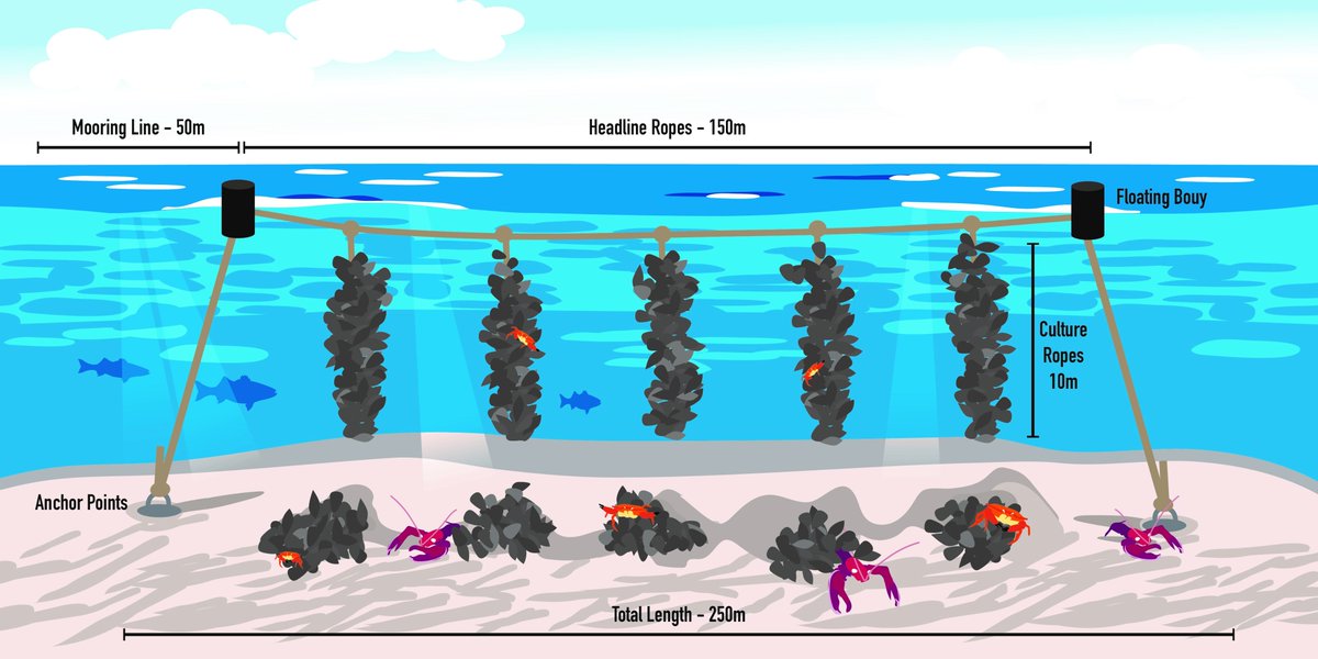 Dr Thomas Stamp tweet media