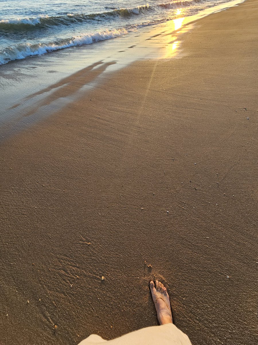 devalverdees's tweet image. Playa