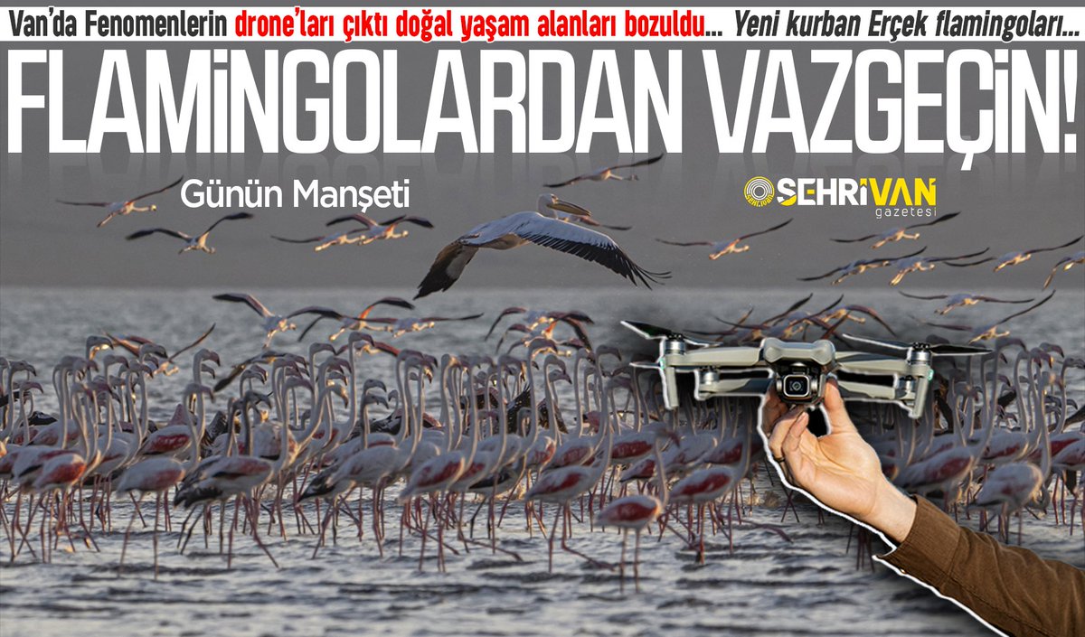 sehrivanhaber's tweet photo. Fenomenlerin drone’ları çıktı doğal yaşam alanları bozuldu… 
FENOMENLERİN VAN’DAKİ YENİ TAHRİBATI: FLAMİNGOLAR!

https://t.co/rMXUTL60Tk https://t.co/xdDwhzqFJV