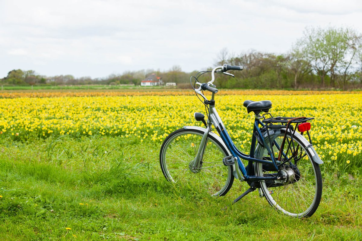 SecretFlying's tweet photo. #LosAngeles to Amsterdam, Netherlands for only $481 roundtrip #Travel

https://t.co/RyaqvMh5od https://t.co/mvoioOwXCN