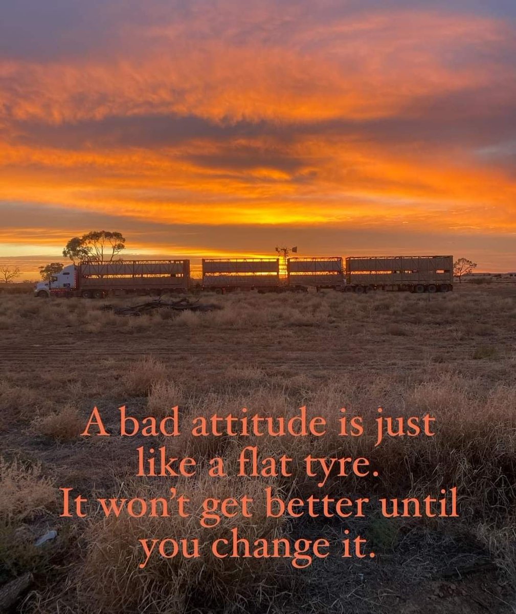 AlyssaCharter's tweet photo. What a great quote.  

It doesn't take much to be that glass half full person. 

Positivity and happiness spreads Be the person to make that change https://t.co/RCRT3ycHfA