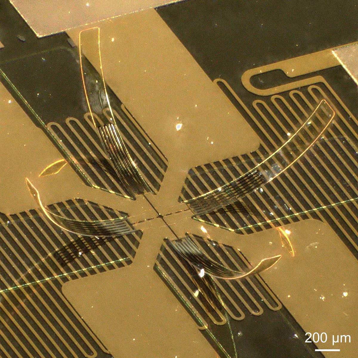 Mengdi Han tweet media