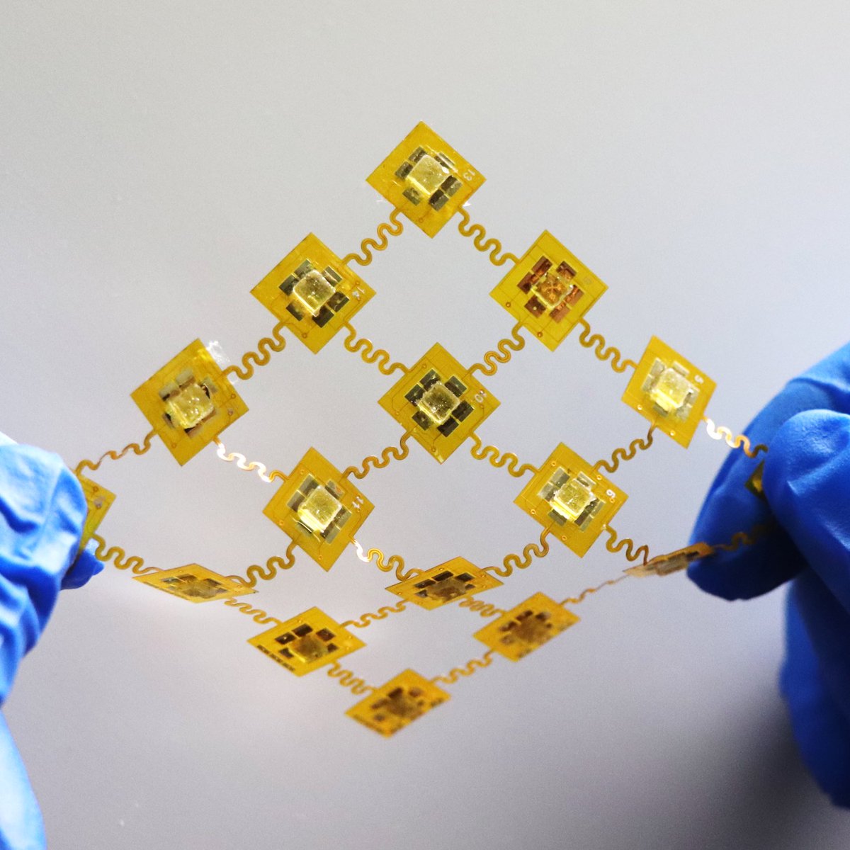 Mengdi Han tweet media