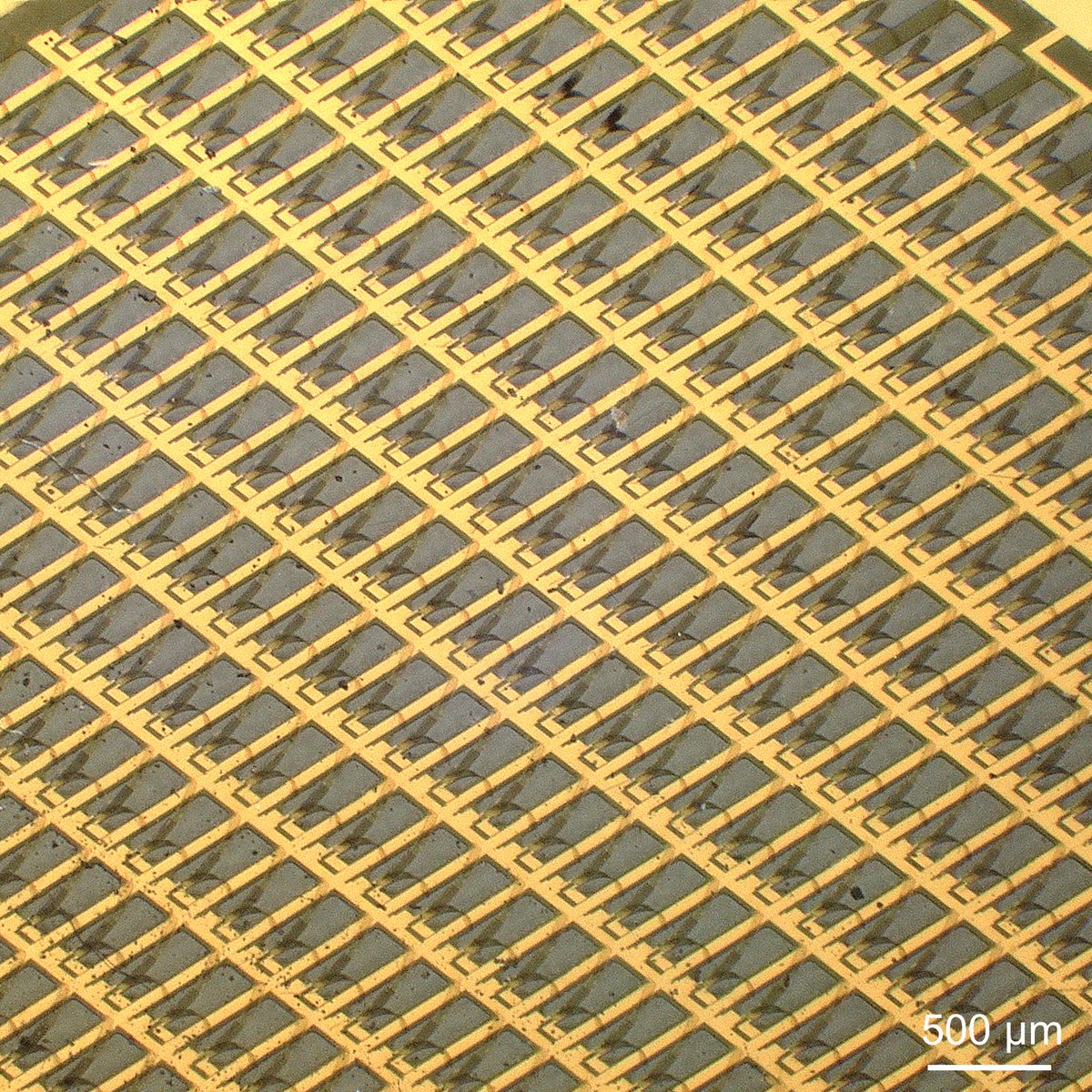 Mengdi Han tweet media