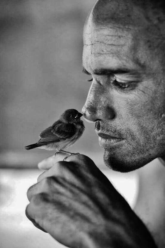 lucy_esposito's tweet photo. «E ricordate anche quella parola poco usata che è ormai quasi sparita dall'uso, sia pubblico che in privato: tenerezza.
Non potrà farvi male».

✒️ Raymond Carver 

#LIndicibileTenerezza a #SalaLettura 

@SalaLettura https://t.co/JdbpBZhFU4