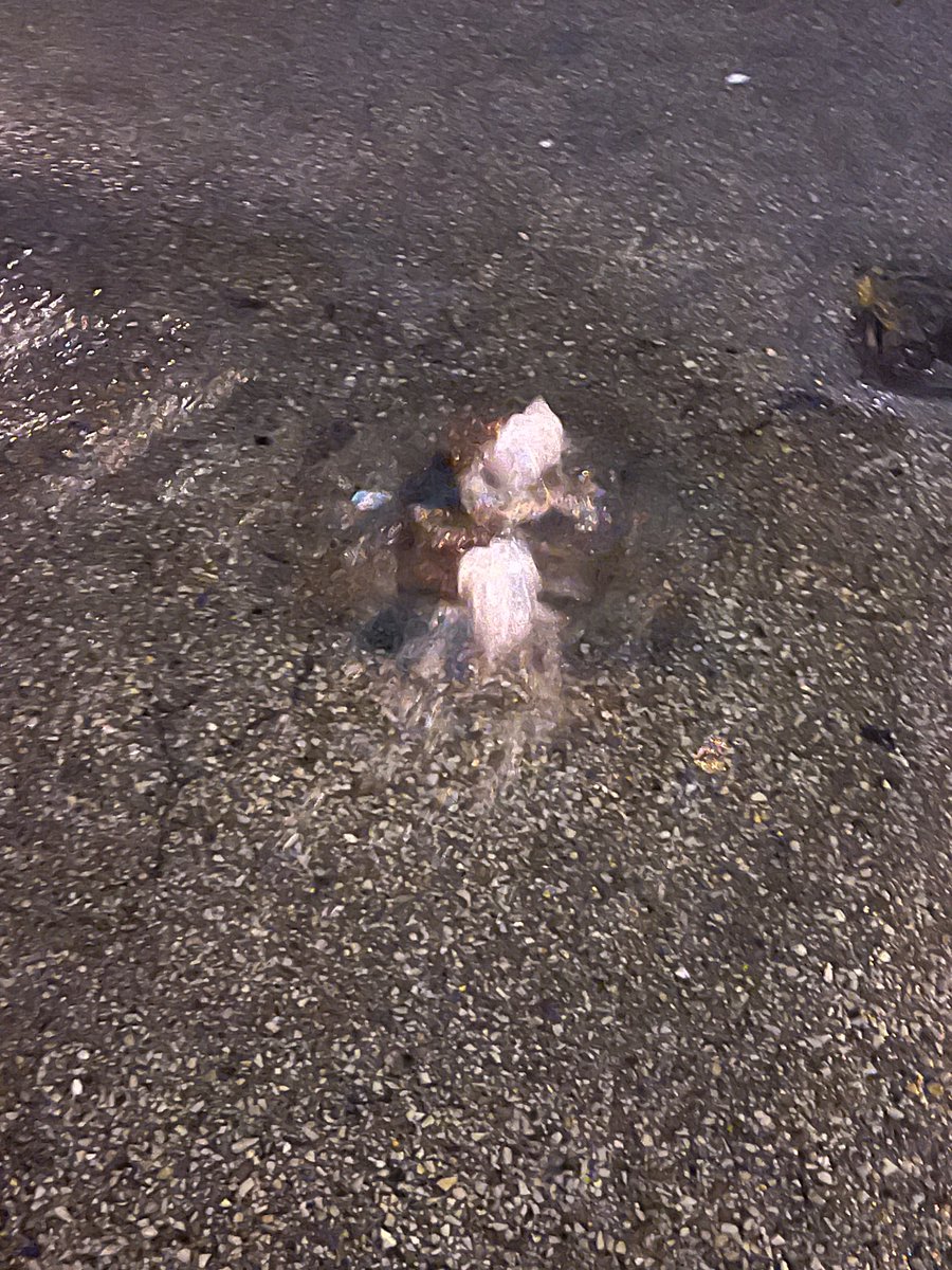 Michael Thompson tweet media