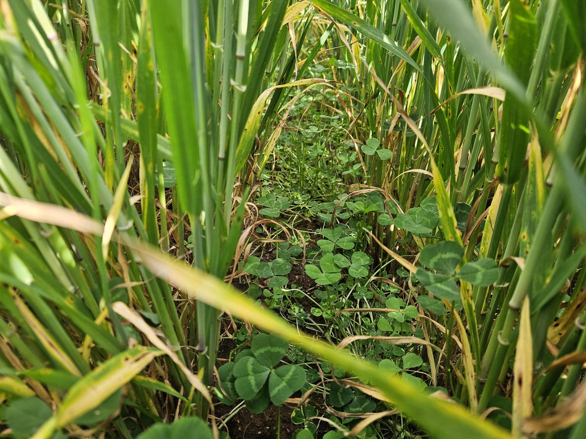 Mark Mortimer tweet media