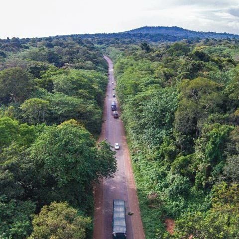 U_E_C_O's tweet image. Uganda is home to 506 Central Forest Reserves, which are managed by the National Forestry Authority (NFA). These reserves are a vital part of Uganda's protected areas, covering a total of 12,657.47 km2 or 6.3% of the country's land area.