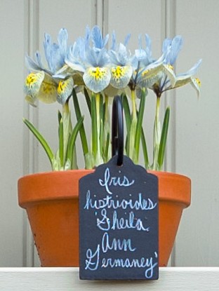 docmilanfar tweet picture